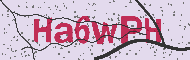 Captcha認証コード