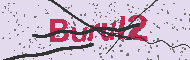 Captcha認証コード